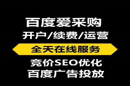 专业SEM代运营公司案例分析