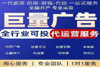 竞价广告与自然搜索的结合策略：XX网站的案例分析